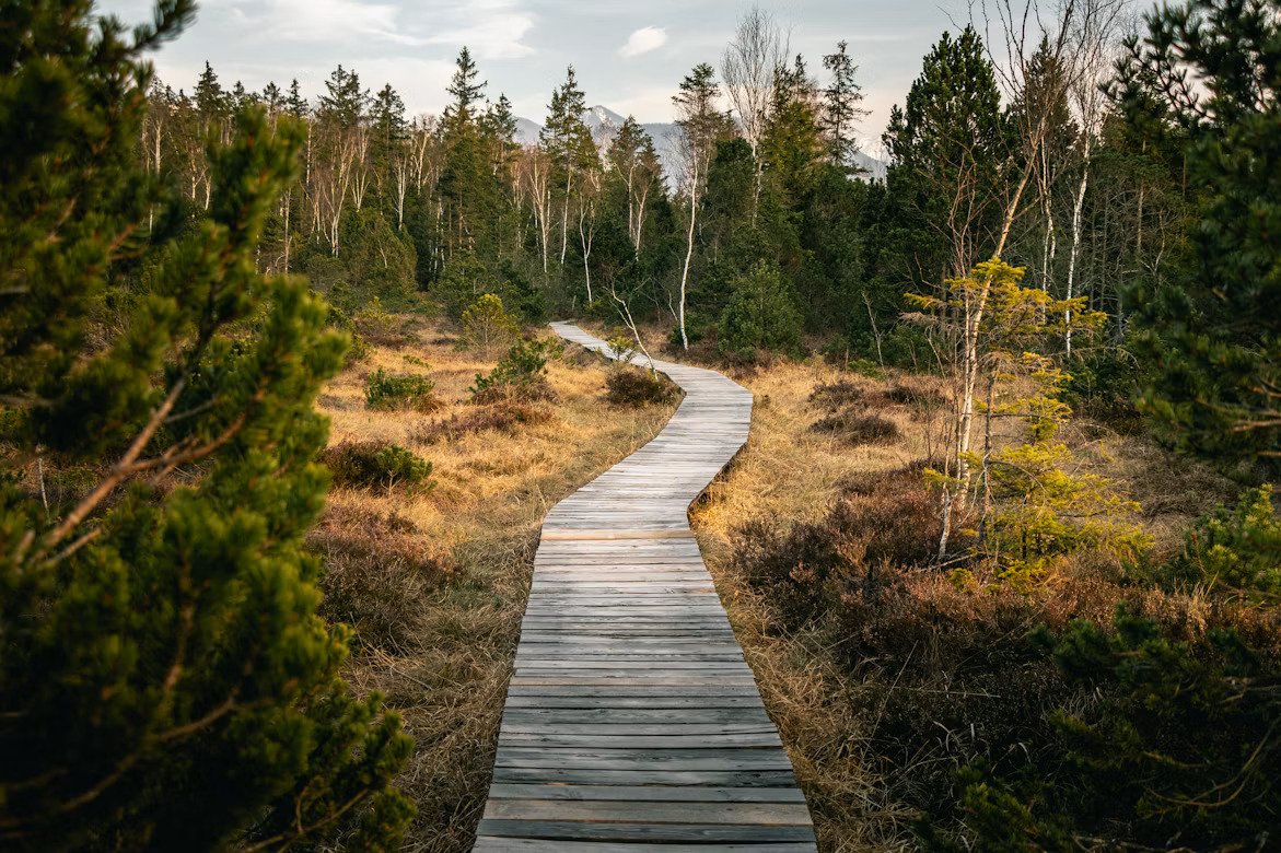 Wandelmeditatie